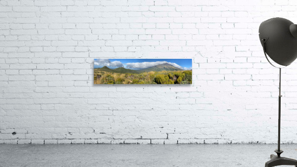 Mount Taranaki New Zealand 3 Wall Preview