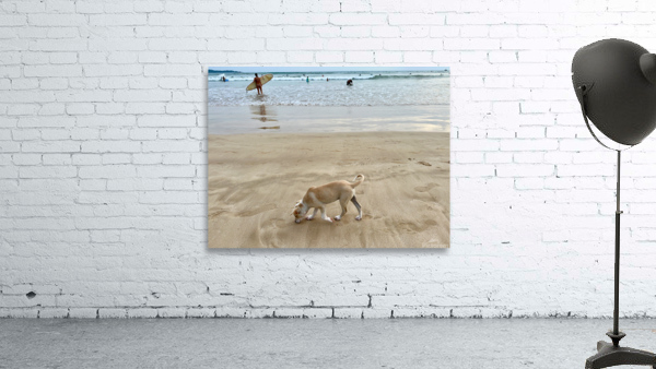 Puppy Walking on the Beach Wall Preview