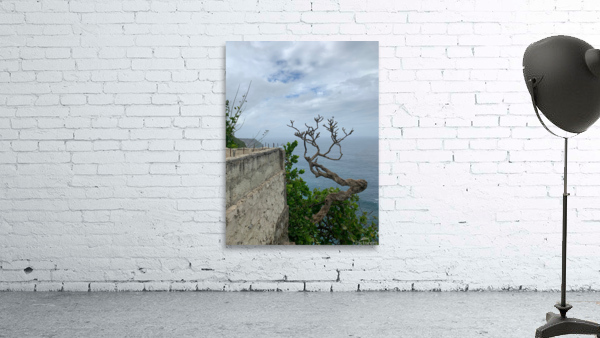 The Tree  The Wall Wall Preview