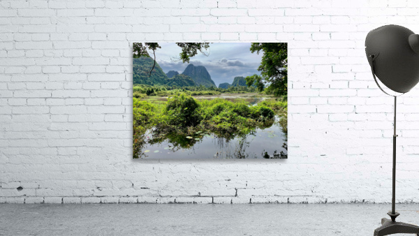 Wetland and Mountains Wall Preview