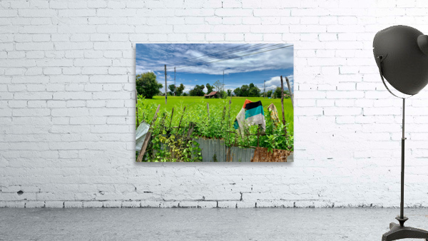 Village House Wall Preview