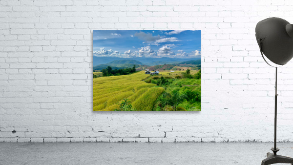 Village in the Rice Fields 3 Wall Preview