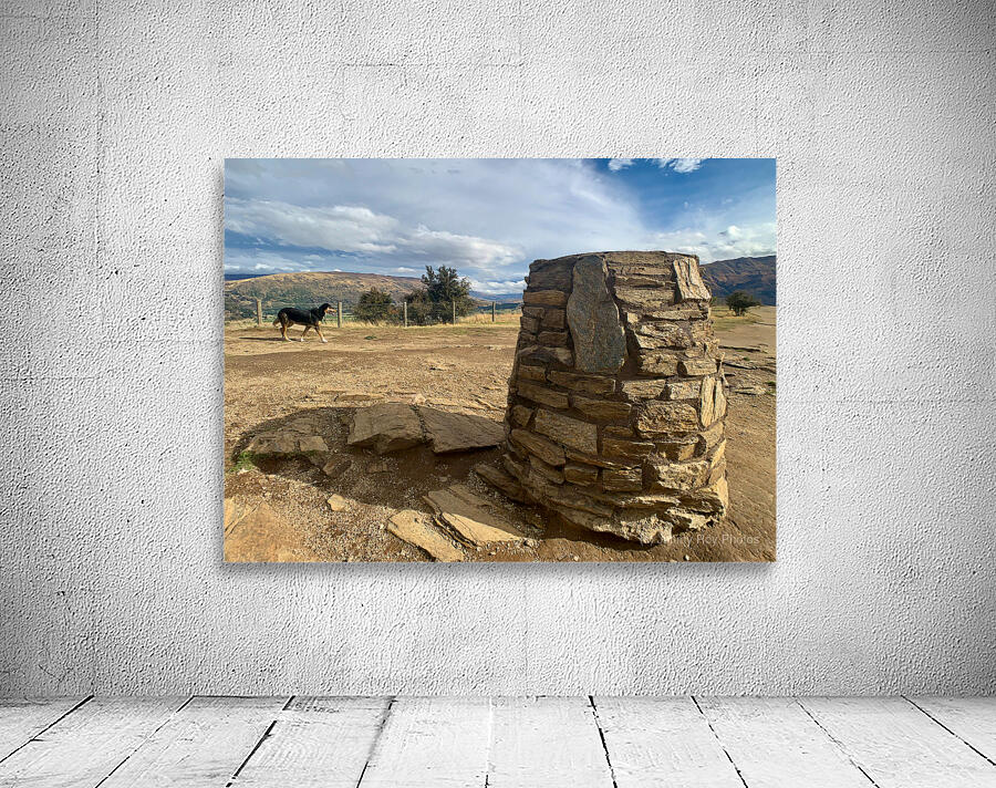 Dog on the Top of Mount Iron New Zealand Wall Preview