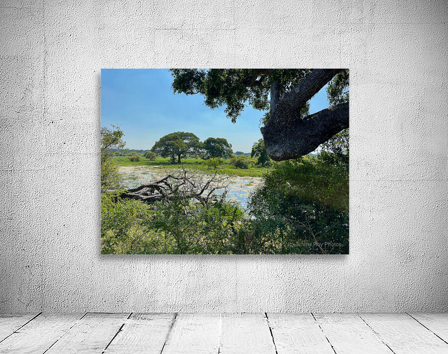 Yala National Park Sri Lanka 3 Wall Preview