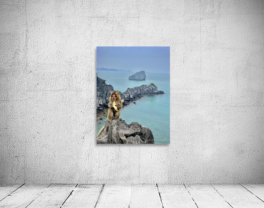 Monkey Eating a Banana Wall Preview