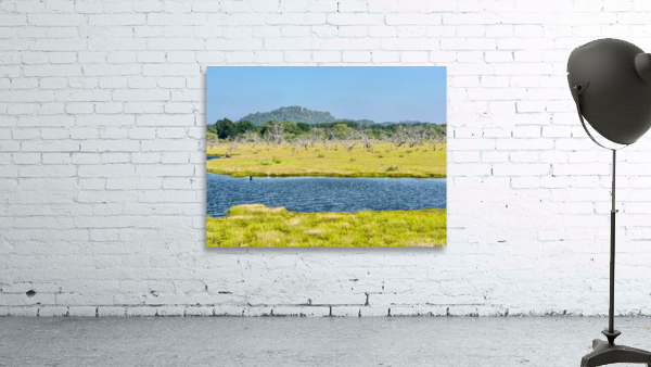 Yala National Park Sri Lanka Wall Preview