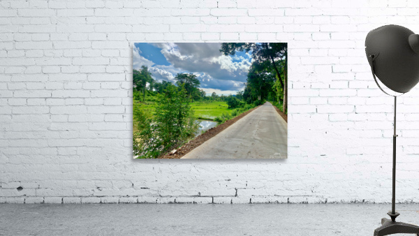 Riding by the Rice Fields Wall Preview
