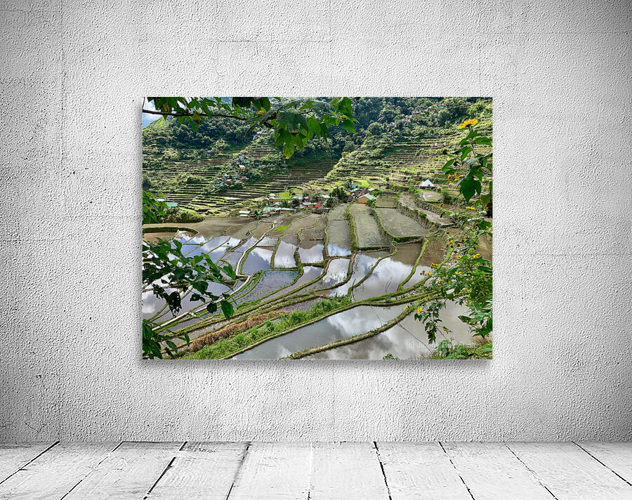 Banaue Philippines 11 Wall Preview