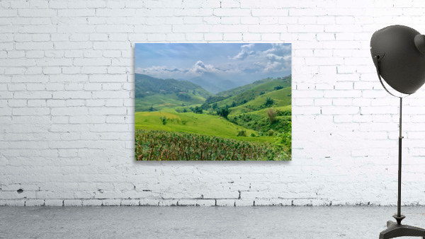 Rice Fields in Sapa 3 Wall Preview