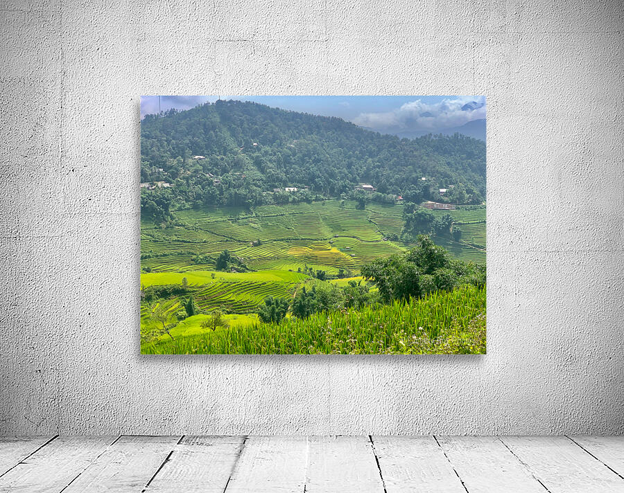 Rice Fields in Sapa 1 Wall Preview
