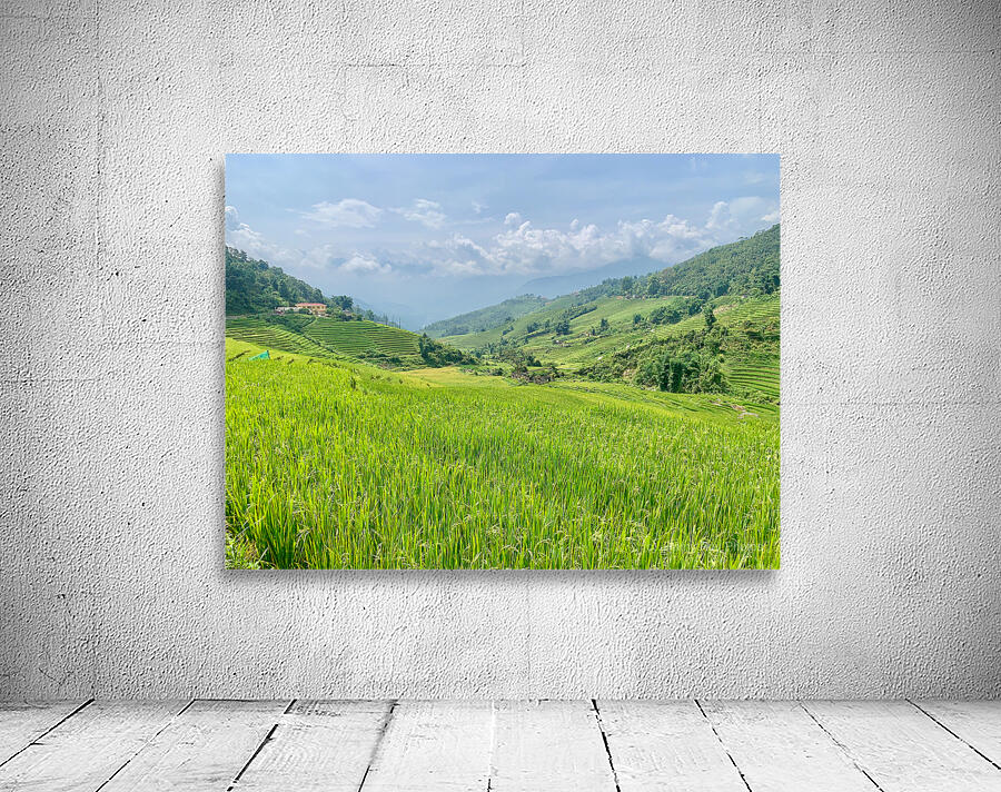Rice Fields in Sapa 2 Wall Preview