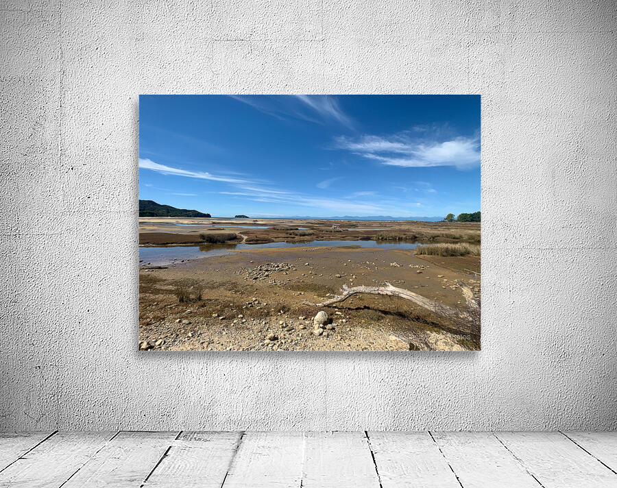 Abel Tasman National Park New Zealand 1 Wall Preview