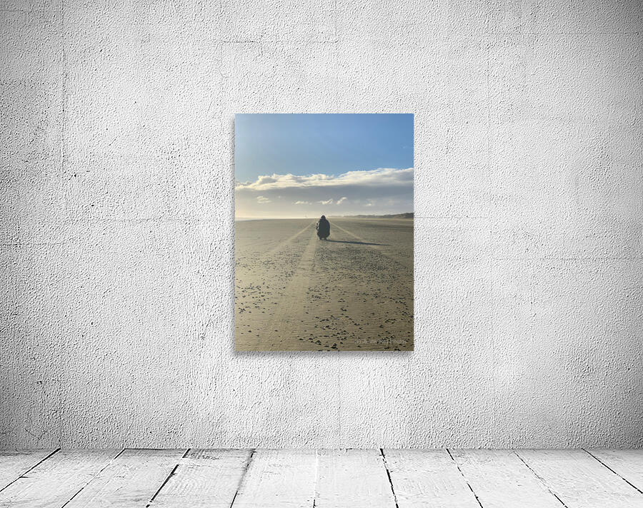 Alone on the Beach 2 Wall Preview