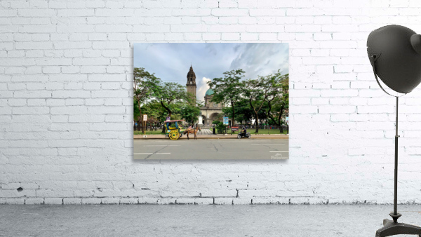 The Manila Cathedral Wall Preview