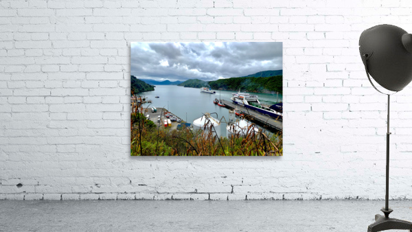 Pictons Ferry New Zealand Wall Preview
