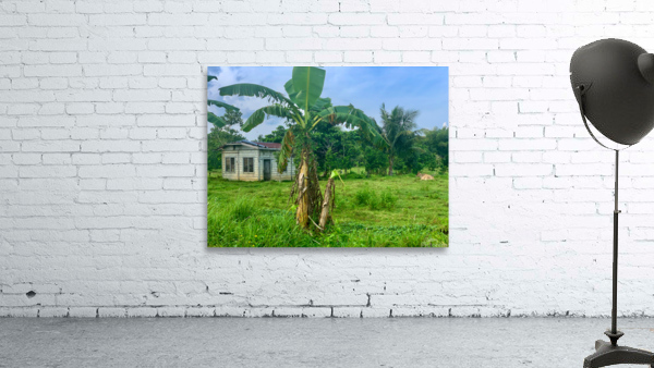 House on the Farm in the Philippines 1 Wall Preview