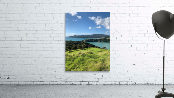 Viewpoint in Rangikapiti Pa Historic Reserve New Wall Preview