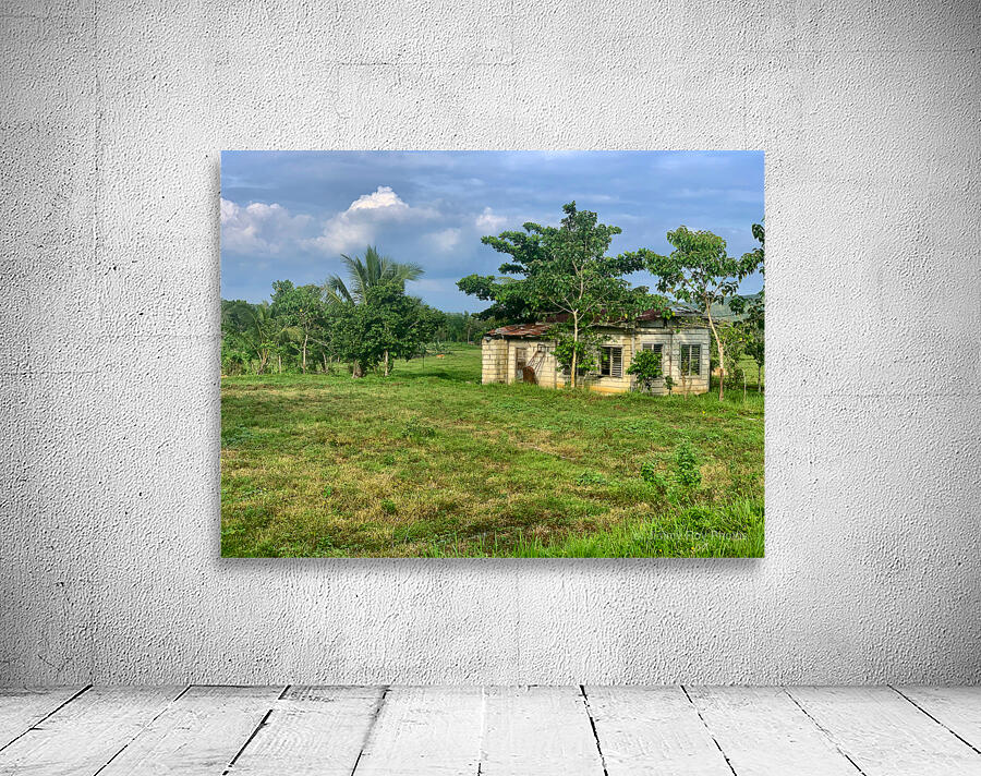House on the Farm in the Philippines 2 Wall Preview