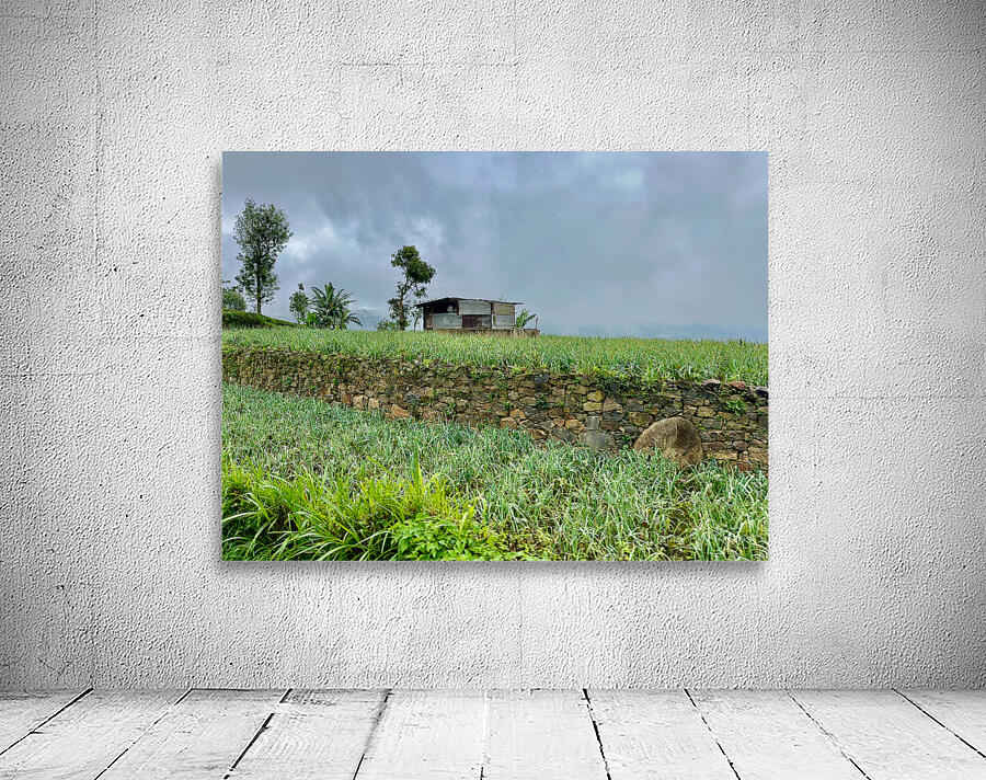 Leveled Field House Wall Preview