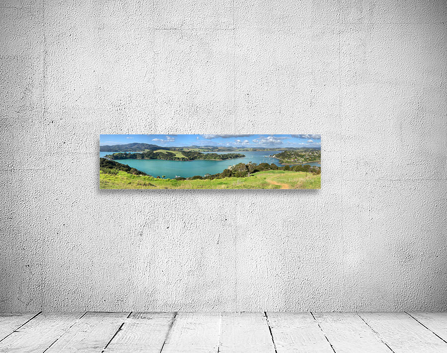 Viewpoint in Rangikapiti Pa Historic Reserve New 2 Wall Preview