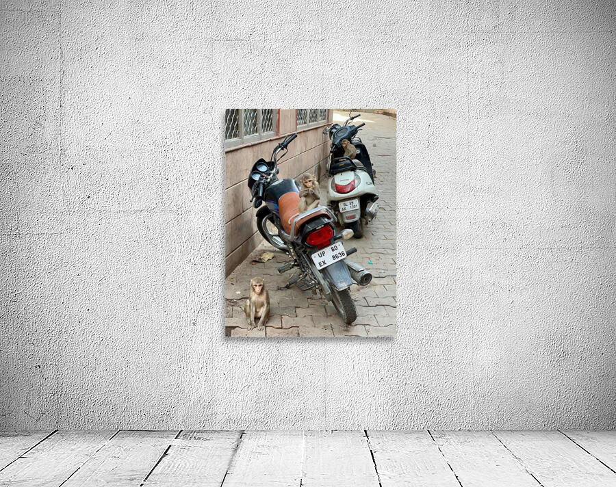 Monkey Bikers Wall Preview