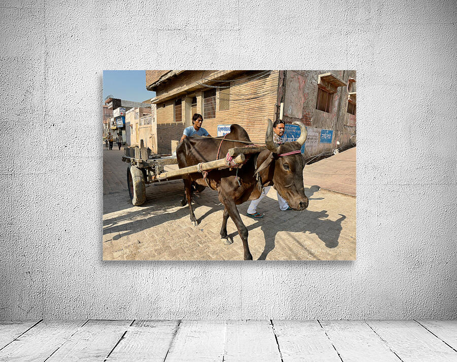 Special Delivery Wall Preview