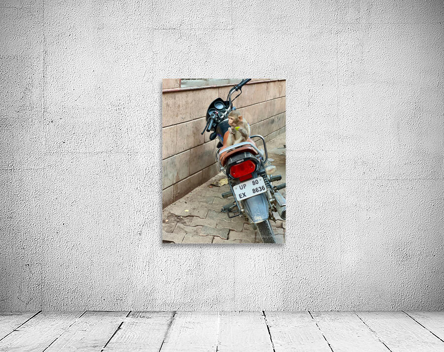 Snack Rider Wall Preview