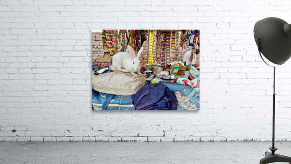 Rabit Magic Wall Preview