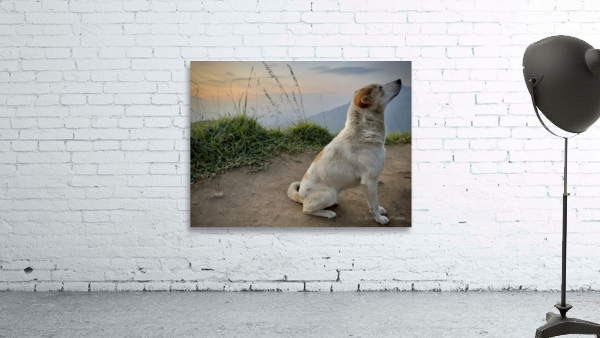 Ella Mountain Dog Wall Preview