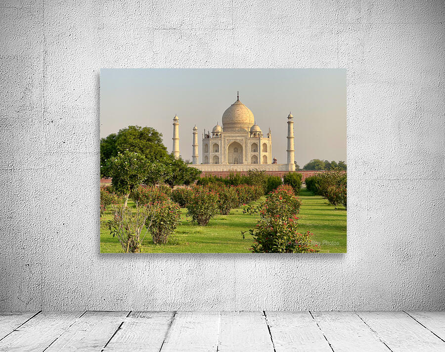 The Taj Mahal Collection 7 Wall Preview