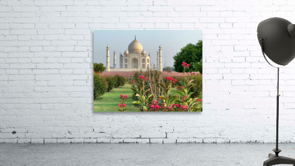 The Taj Mahal Collection 1 Wall Preview