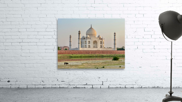 The Taj Mahal Collection 12 Wall Preview