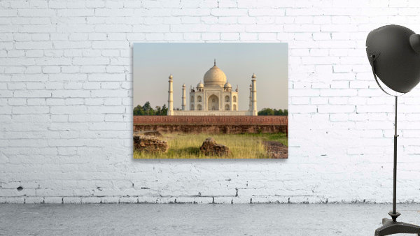 The Taj Mahal Collection 8 Wall Preview