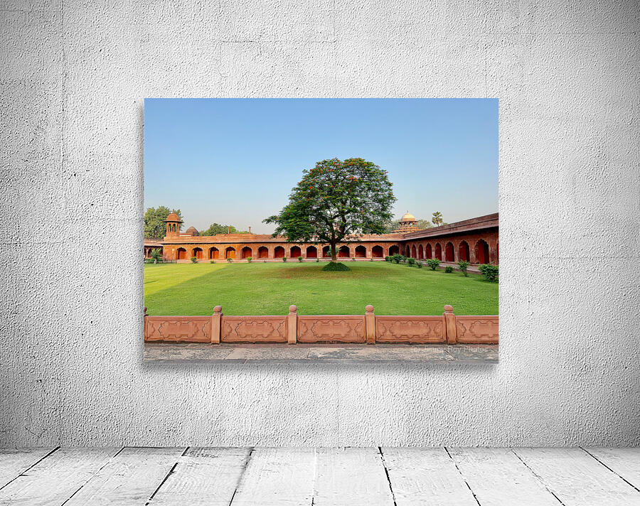 The Taj Mahal Collection 29 Wall Preview