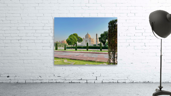 The Taj Mahal Collection 26 Wall Preview