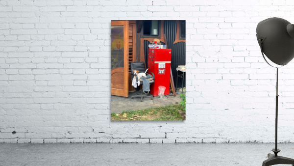 The Red Fridge and the Dog 1 Wall Preview