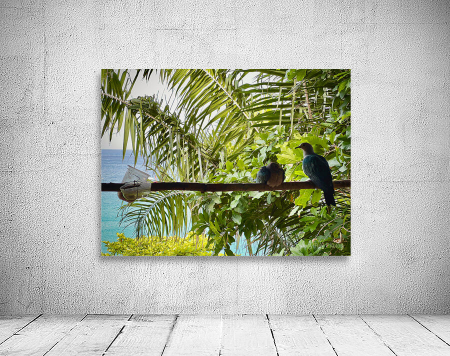 Bird Couple Koh Tao Thailand Wall Preview