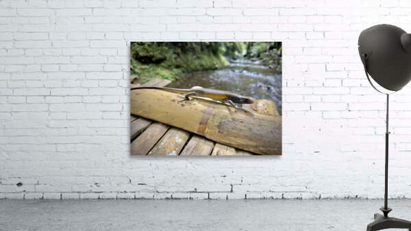 The Lizard Munduk Bali Wall Preview