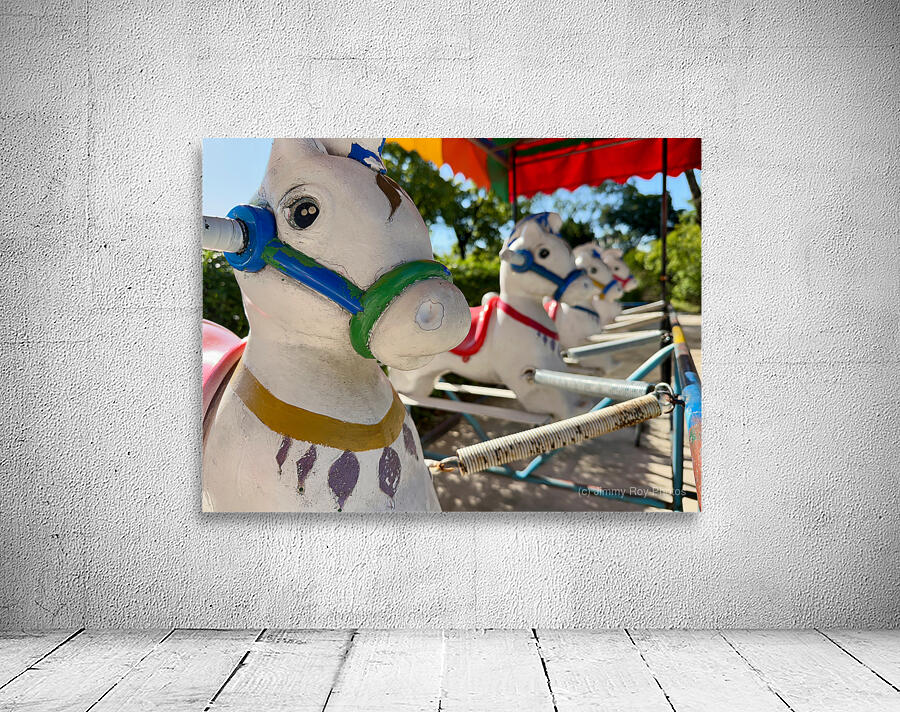 Jumping Horses for Kids Seoul South Korea Wall Preview