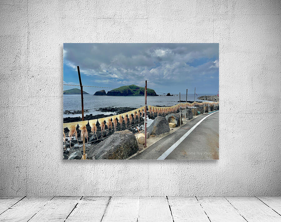 Squids on the Line Jeju South Korea Wall Preview