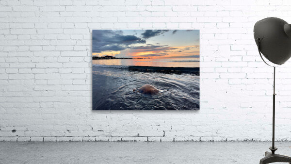 Samyang Beach Sunset Jeju South Korea 6 Wall Preview