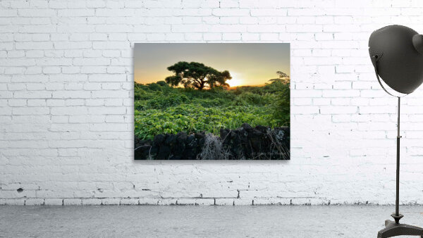 The Sunset Behind Jeju South Korea Wall Preview