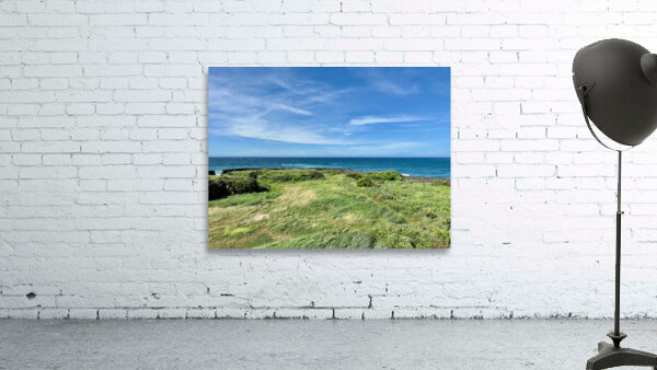 The Calm Jeju South Korea Wall Preview