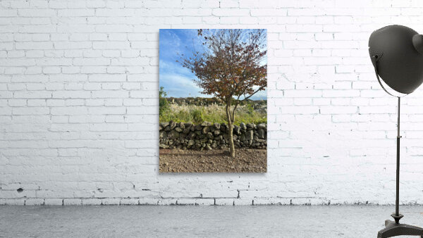 Stone Park Jeju South Korea 6 Wall Preview