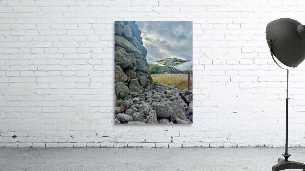 Stone Park Jeju South Korea 7 Wall Preview