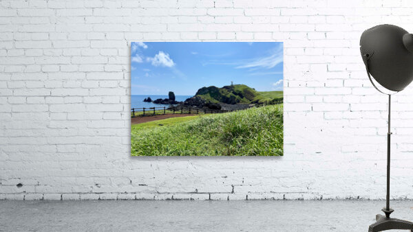 Seopjikoji Jeju South Korea 4 Wall Preview