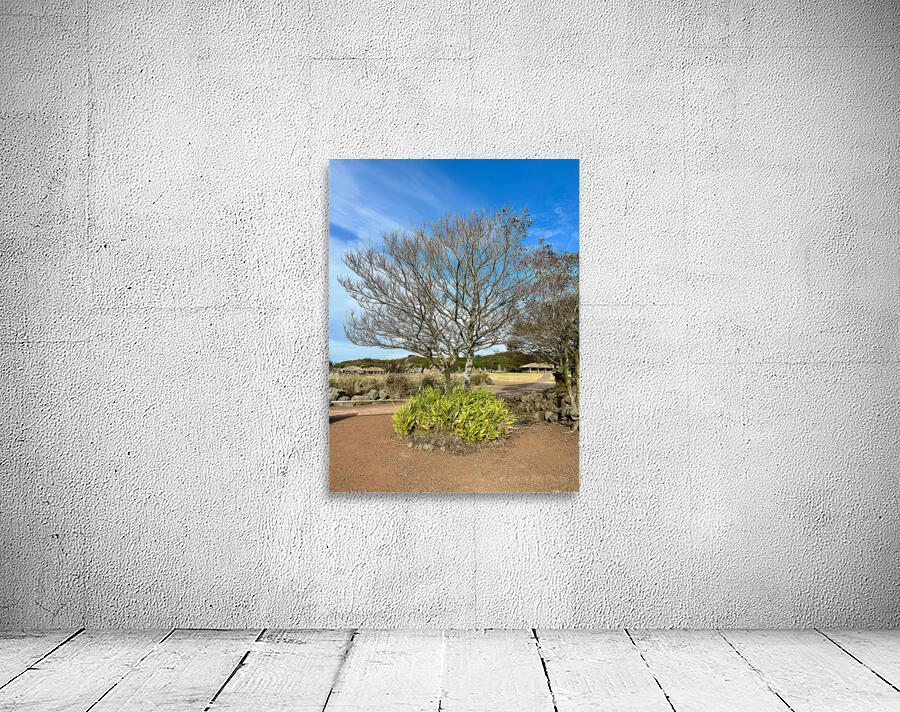 Stone Park Jeju South Korea 5 Wall Preview