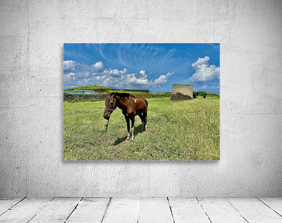 Seopjikoji Jeju South Korea 3 Wall Preview