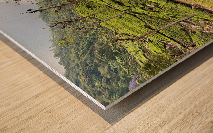 Toy Train Tea Plantations Impression sur bois