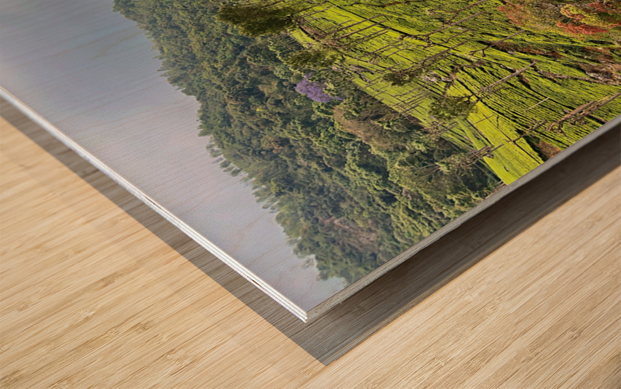 101 Tea Plantations Wood print